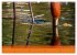 Fotogalerie Fotogalerie