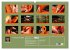 Fotogalerie Fotogalerie