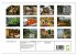 Volksrepublik Laos (Wandkalender 2026... - Bild 6