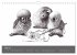 owls & friends 2026 (Wandkalender 2026... - Bild 11