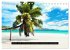 Seychellen (Tischkalender 2026 DIN A5... - Bild 3