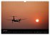 Flugzeuge im Sonnenuntergang... - Bild 12