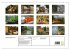 Volksrepublik Laos (Wandkalender 2026... - Bild 6