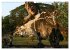 Volksrepublik Laos (Wandkalender 2026... - Bild 7