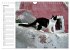 Katzensprung (Wandkalender 2026 DIN A4... - Bild 12