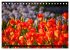 Tulpen (Tischkalender 2026 DIN A5... - Bild 3