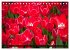 Tulpen (Tischkalender 2026 DIN A5... - Bild 7