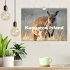 Kangaroo Island (Wandkalender 2026 DIN... - Bild 2