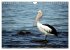 Kangaroo Island (Wandkalender 2026 DIN... - Bild 11