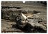 Kangaroo Island (Wandkalender 2026 DIN... - Bild 4