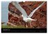Faszinierendes Helgoland (Wandkalender... - Bild 5