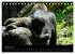 Gorillas - Die sanften Wilden... - Bild 8