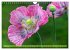 Mohn Tage (Wandkalender 2026 DIN A4... - Bild 14