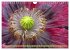 Mohn Tage (Wandkalender 2026 DIN A4... - Bild 3