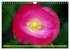 Mohn Tage (Wandkalender 2026 DIN A4... - Bild 7