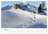 Bergwelten - Vom Voralpenland zu den... - Bild 7