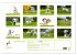 Fotogalerie Fotogalerie