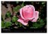 Baden bei Wien - Rosarium (Wandkalender... - Bild 4