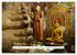 Asien - Sri Lanka (Wandkalender 2026... - Bild 5