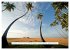Asien - Sri Lanka (Wandkalender 2026... - Bild 8