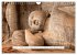Asien - Sri Lanka (Wandkalender 2026... - Bild 9