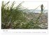 Ostsee-Strand (Wandkalender 2026 DIN A2... - Bild 9