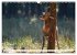 Emotionale Momente: Hirschbrunft... - Bild 15
