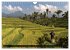 Asiens Welterbe (Wandkalender 2026 DIN... - Bild 13