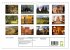 Asiens Welterbe (Wandkalender 2026 DIN... - Bild 6