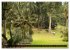 Asiens Welterbe (Wandkalender 2026 DIN... - Bild 11