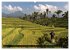 Asiens Welterbe (Wandkalender 2026 DIN... - Bild 13