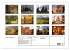 Asiens Welterbe (Wandkalender 2026 DIN... - Bild 6