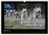 Husky-Kalender (Wandkalender 2026 DIN... - Bild 15