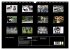 Husky-Kalender (Wandkalender 2026 DIN... - Bild 6