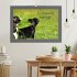 Französische Bulldoggen (Wandkalender... - Bild 2