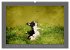 Französische Bulldoggen (Wandkalender... - Bild 13