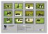 Französische Bulldoggen (Wandkalender... - Bild 6