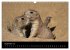 Zoo-Kinder (Wandkalender 2026 DIN A3... - Bild 15