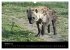 Zoo-Kinder (Wandkalender 2026 DIN A3... - Bild 3