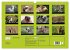 Zoo-Kinder (Wandkalender 2026 DIN A3... - Bild 6