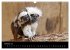 Zoo-Kinder (Wandkalender 2026 DIN A3... - Bild 8