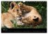Zoo-Kinder (Wandkalender 2026 DIN A3... - Bild 9