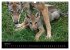 Zoo-Kinder (Wandkalender 2026 DIN A3... - Bild 10
