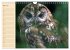 Eulen (Wandkalender 2026 DIN A4 quer),... - Bild 11