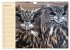 Eulen (Wandkalender 2026 DIN A4 quer),... - Bild 14