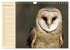Eulen (Wandkalender 2026 DIN A4 quer),... - Bild 4