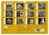 Eulen (Wandkalender 2026 DIN A4 quer),... - Bild 6