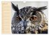 Eulen (Wandkalender 2026 DIN A4 quer),... - Bild 7