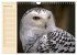 Eulen (Wandkalender 2026 DIN A4 quer),... - Bild 8