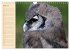 Eulen (Wandkalender 2026 DIN A4 quer),... - Bild 10